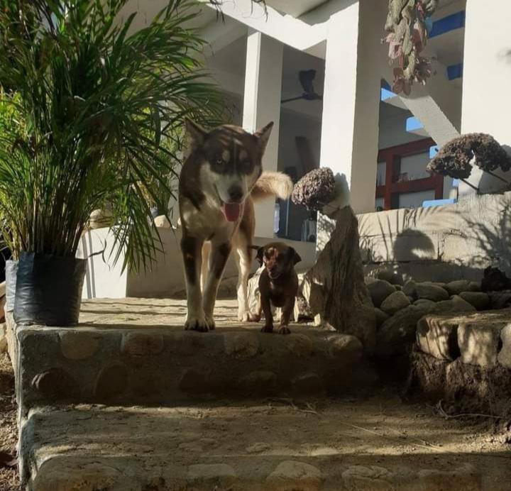 Aldea Xha Iba' Zipolite Hotell Eksteriør bilde